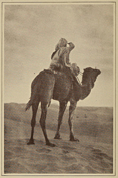 Picture of a man riding a camel from "Zigzag Pictures in the Camel Country:  Arabia in Picture and Story."