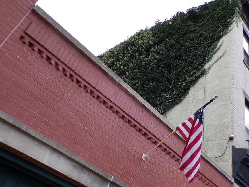 Picture of an American Flag hanging over a garage door in Carroll Gardens with a vine-clad wall above it.