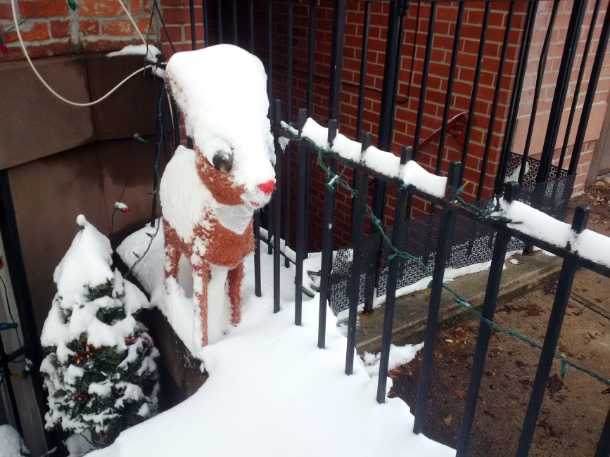 Snow-covered Rudolph the Red-Nosed Reindeer and Christmas tree in Cobble Hill after Winter Storm Gail.