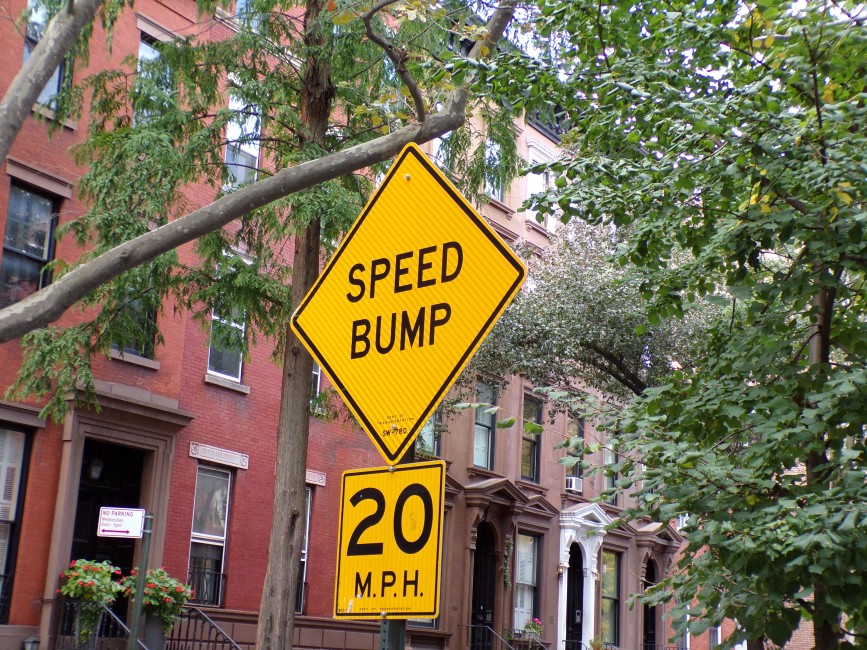 Photograph of a Speed Bump sign on Hicks Street in Brooklyn Heights. Brownstones and trees make up the background.