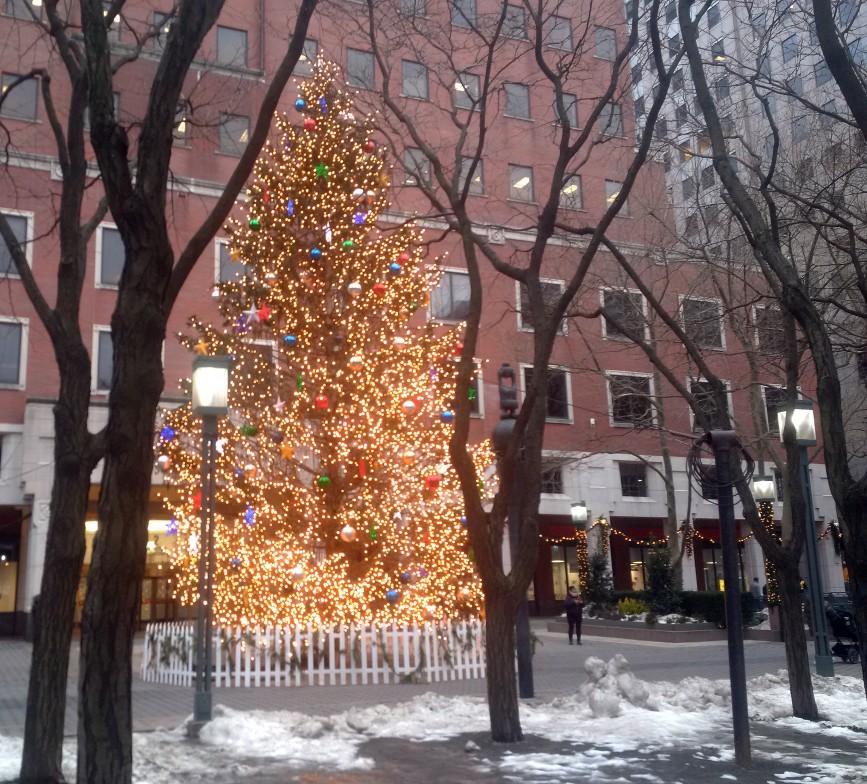 Photo of a large Christmas Tree set up in Metro Tech, Brooklyn, in 2020.