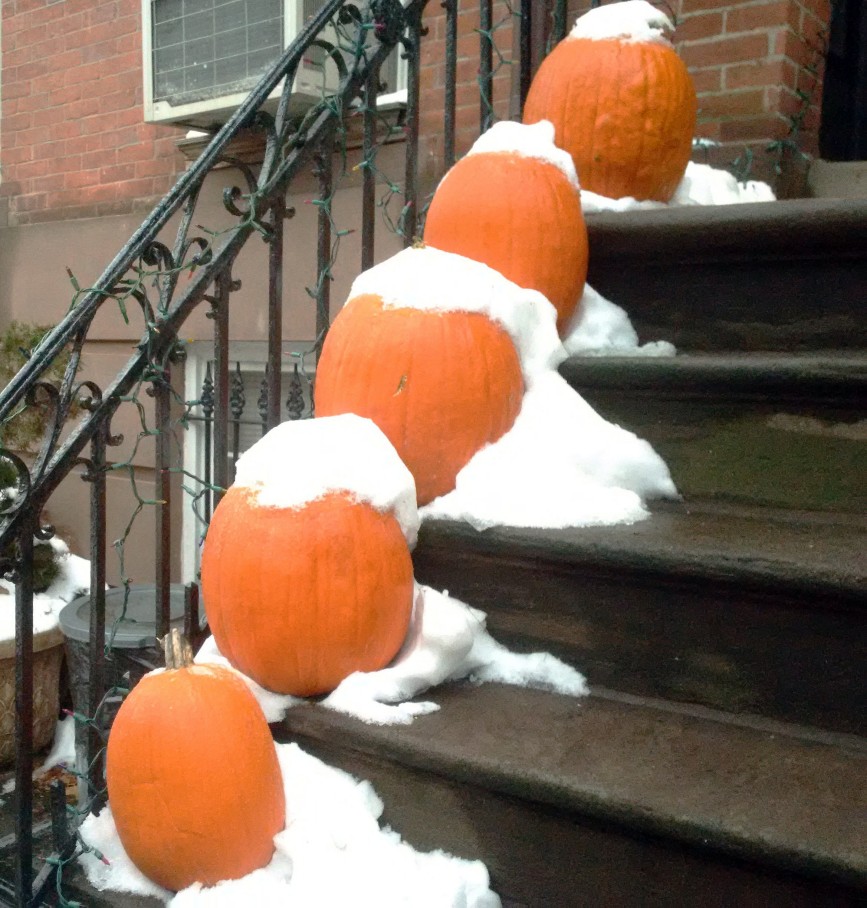 Photograph of five pumpkins, each topped with snow, sitting on consecutive steps of a Brooklyn brownstone.