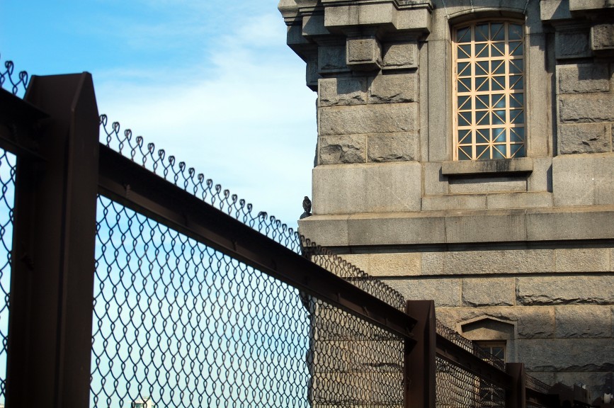 Photo taken by Nicholas A. Ferrell of a falcon on the Queensboro Bridge.