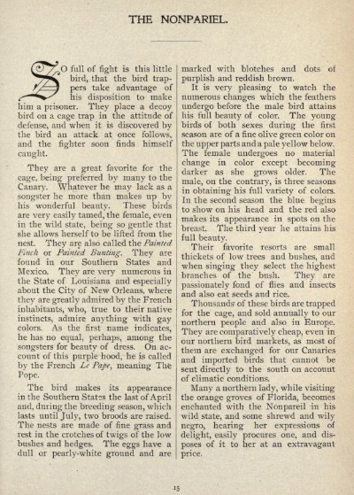Facts about the Nonpareil clipped from the nineteenth century children's bird magazine, "Birds: A Monthly Serial"