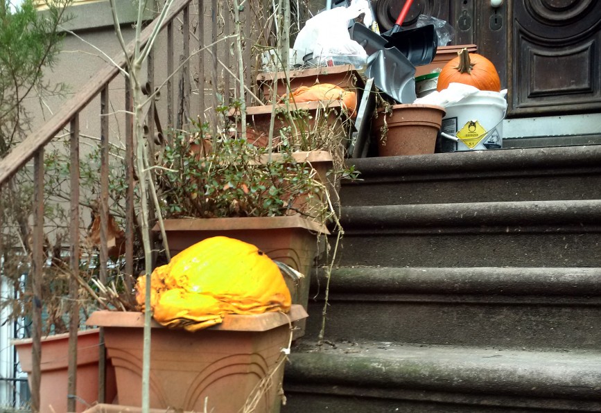 A rotting pumpkin on a planter on a step in Brooklyn, NY - it looks like something from a Salvador Dali painting.