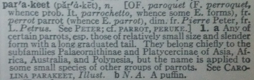 Definition of "Parakeet" from Webster's Second (1952)
