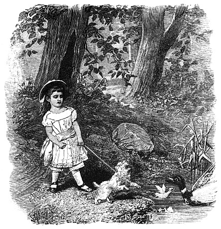 Illustration of a girl trying to restrain her dog from chasing two ducklings as the mother duck approaches from the May 1881 issue of "The Nursery"