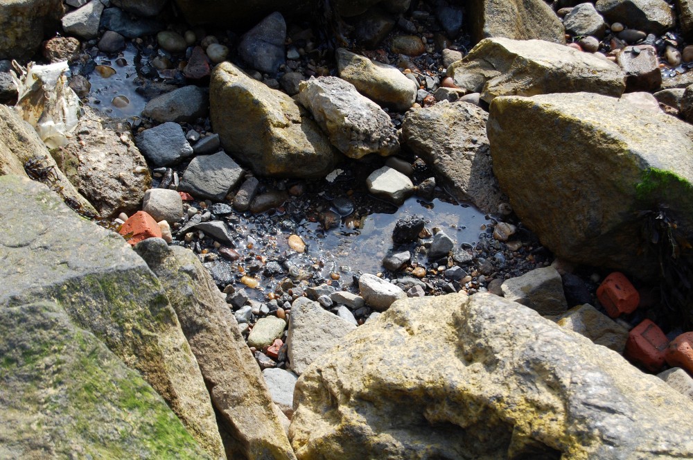 A photo of the rocks, covered by water, at Pebble Beach in DUMBO's Main Street Park. Photographed by Nicholas A. Ferrell.