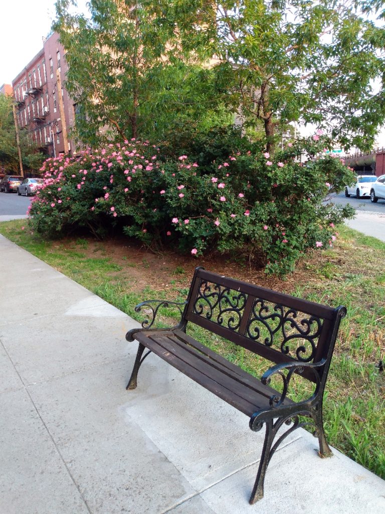 Photo of a bench on a triangle on Hamilton Avenue.