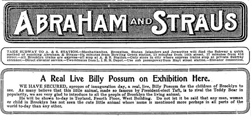 An ad for the short-lived Billy Possum stuffed animal,which was an homage to President William Howard Taft, from 1909.