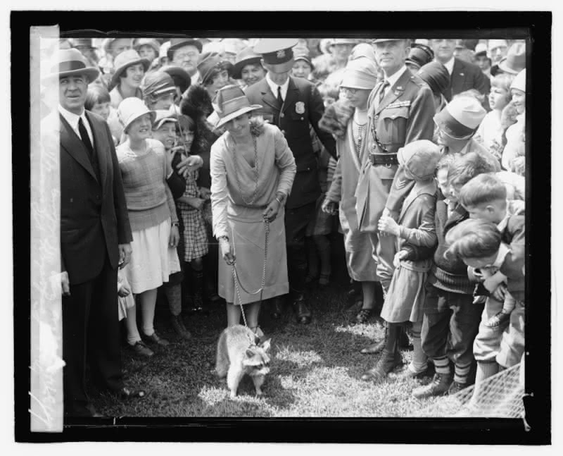 Rebecca was not going anywhere during the 1927 Easter Egg Rolling at the White House - being on a leash and all.  Public Domain image available at Library of Congress with digital ID npcc.16730 and on Wikimedia Commons.
