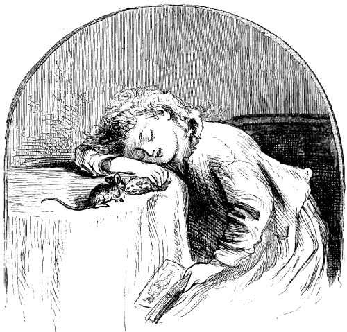 Illustration of a girl asleep on a table while a mouse nibbles at a cake in her hand - went with "Helping Himself To Cake" - a poem in the March 2, 1880 issue of Harper's Young People.