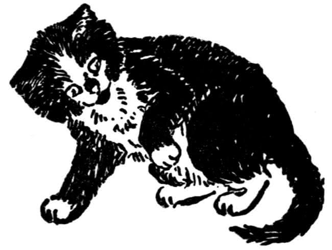 This kitten illustration was part of Diantha Horne Marlowe for Marshall Saunders' Pussy Black-Face, or the Story of a Kitten and Her Friends - available on Project Gutenberg.