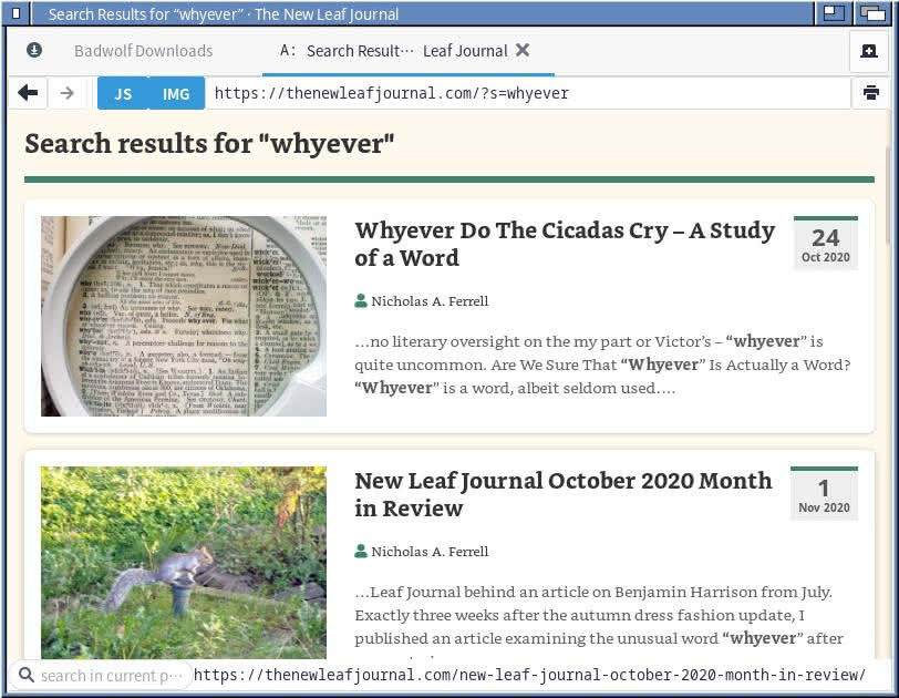 Screenshot of a Relevanssi-powered search result page on a WordPress magazine called The New Leaf Journal.