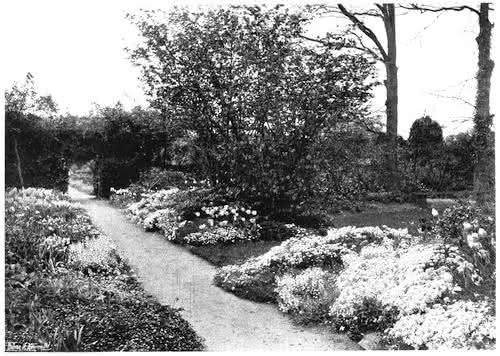 Photograph of a spring garden.  Image from Greturde Jekyll's Colour in the Spring Garden (1908).