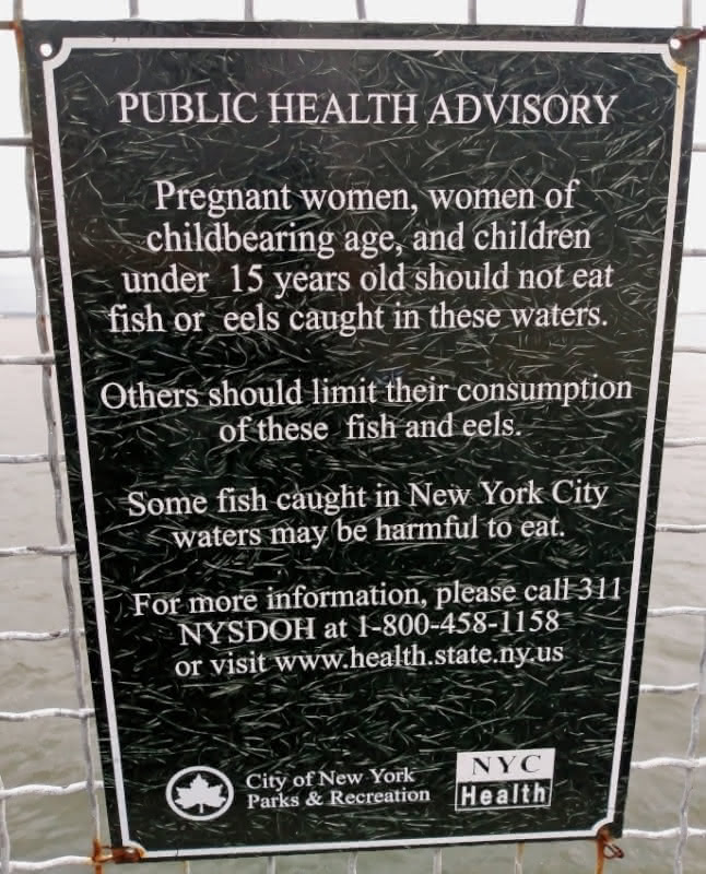 A public health advisory in Red Hook, Brooklyn, in New York City, warning people about the dangers of eating fish and eels caught in New York City waters.