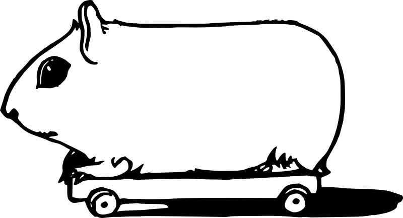 An Openclipart black and white vector drawing of a guinea pig on a board with wheels.