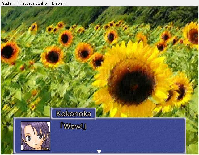 Kokonoka is impressed with a sunflower field in the Summer, Cicadas, and the Girl visual novel.