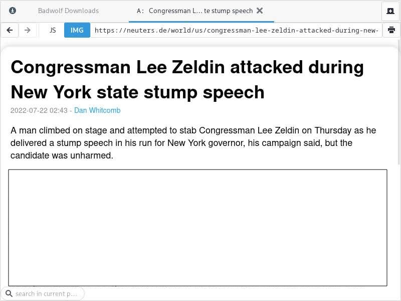 Reuters article about Lee Zeldon being attacked during stump speech as it appears on Neuters.
