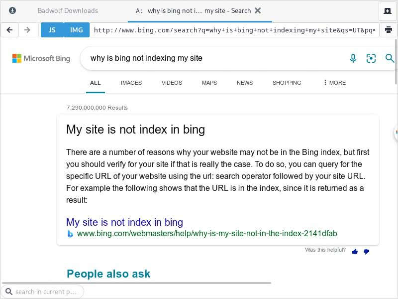 Asking Bing why Bing is not indexing a website.