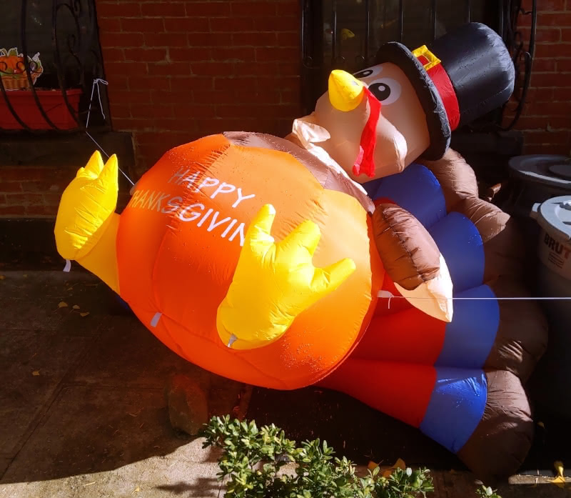 A photograph of a tipped-over inflatable Thanksgiving turkey in Carroll Gardens, Brooklyn.