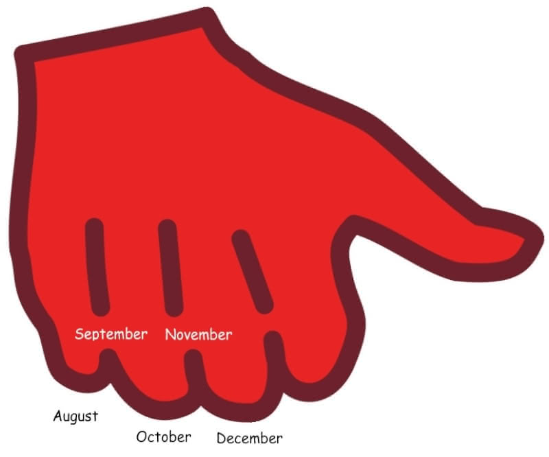 Diagram showing how to use the knuckle method for remembering whether a month has 31 days or 30 days from August to December.