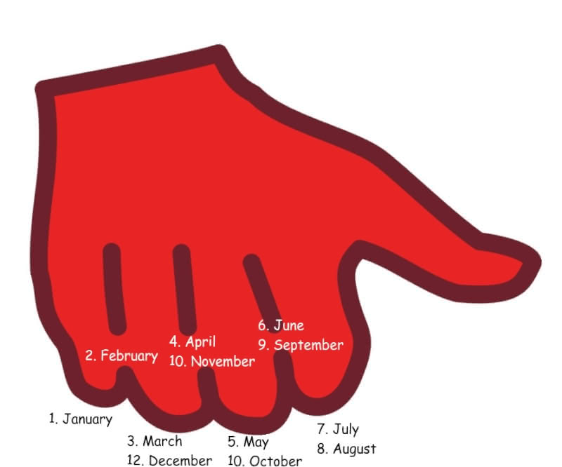 Diagram showing how to use the knuckle method for remembering whether a month has 31 days or 30 days.