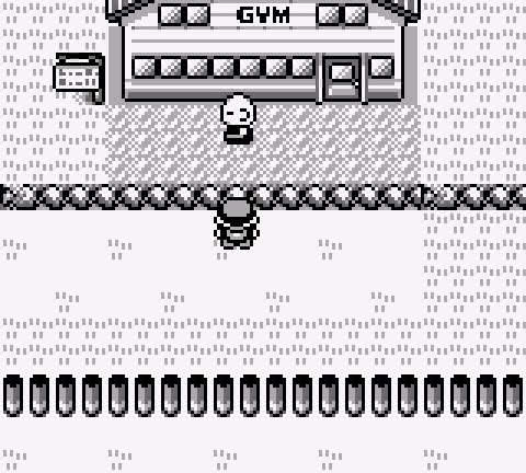 Viridian City Pokémon Gym in Pokémon Red.