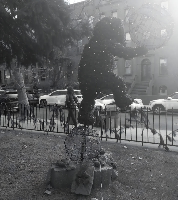 Walking bear topiary seen in front yard in Carroll Gardens, Brooklyn - black and white.