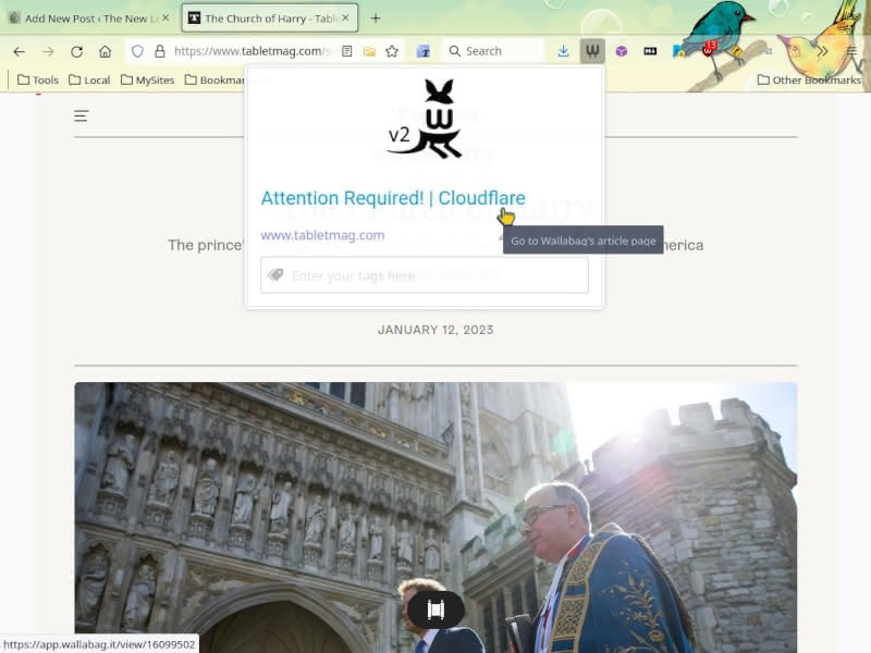 Running into a Cloudflare CAPTCHA block while trying to save an article into Wallabag with Wallabagger.