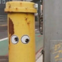 A pipe with eyes seen on West Ninth Street in Gowanus, Brooklyn. N.A. Ferrell's New Leaf Journal profile picture.