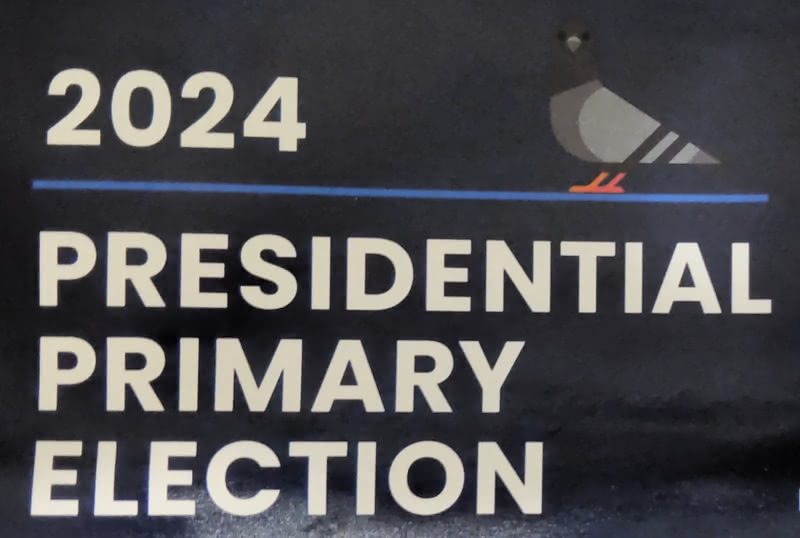 Picture of section of NYC Board of Elections mailer for 2024 Presidential Primary Election. Background is dark blue. Left side of page says 2024 Presidential Primary Election. On the top right next to 2024 is an illustration of a common gray pigeon.
