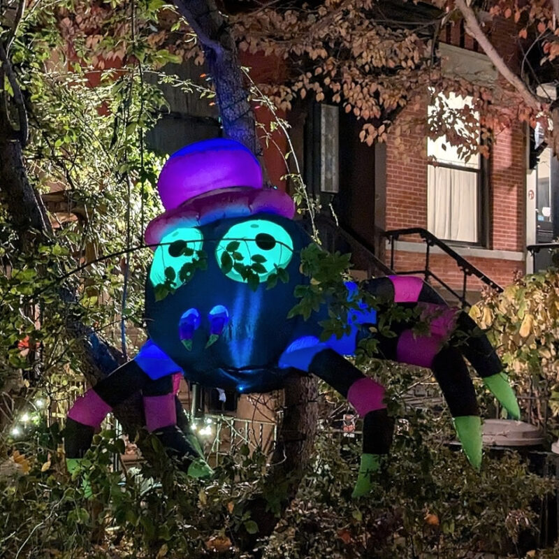 A large inflatable spider decoration with big eyes and a purple hat hanging from a tree in front of a home in Carroll Gardens.