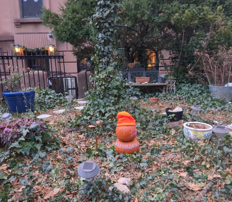 Photo of an overgrown front yard in Carroll Gardens, Brooklyn. The focus is on an orange, somewhat decaying pumpkin sitting atop a flattened pumpkin while wearing an orange knit hat.